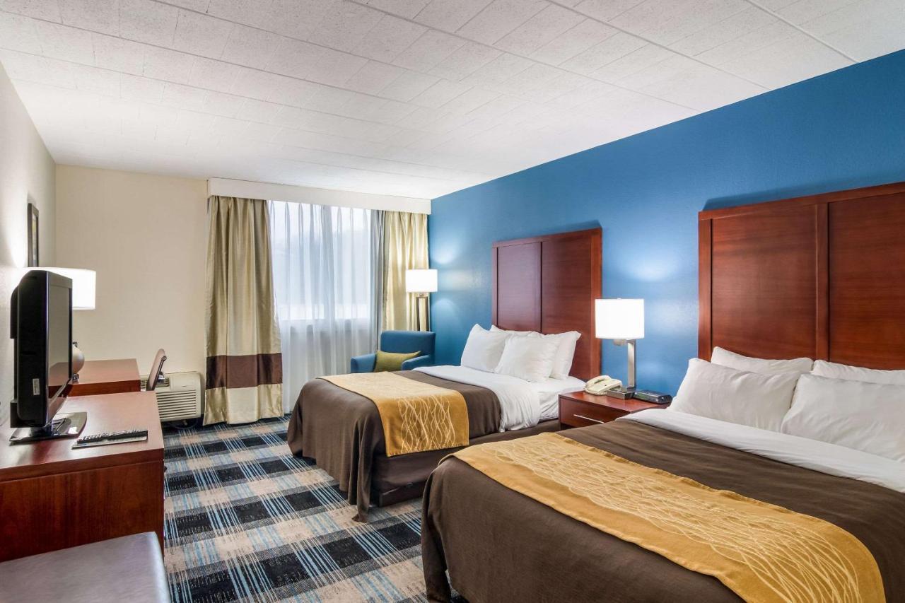 Comfort Inn & Suites Montrose Hill Bagian luar foto