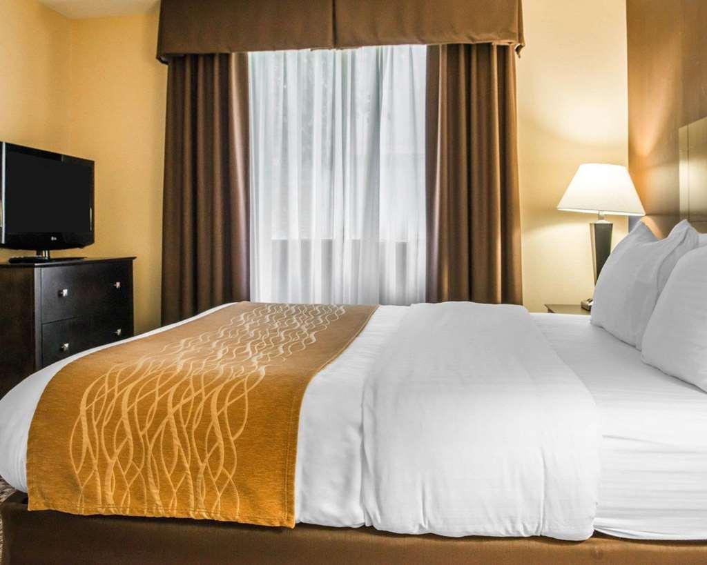 Comfort Inn & Suites Montrose Hill Ruang foto