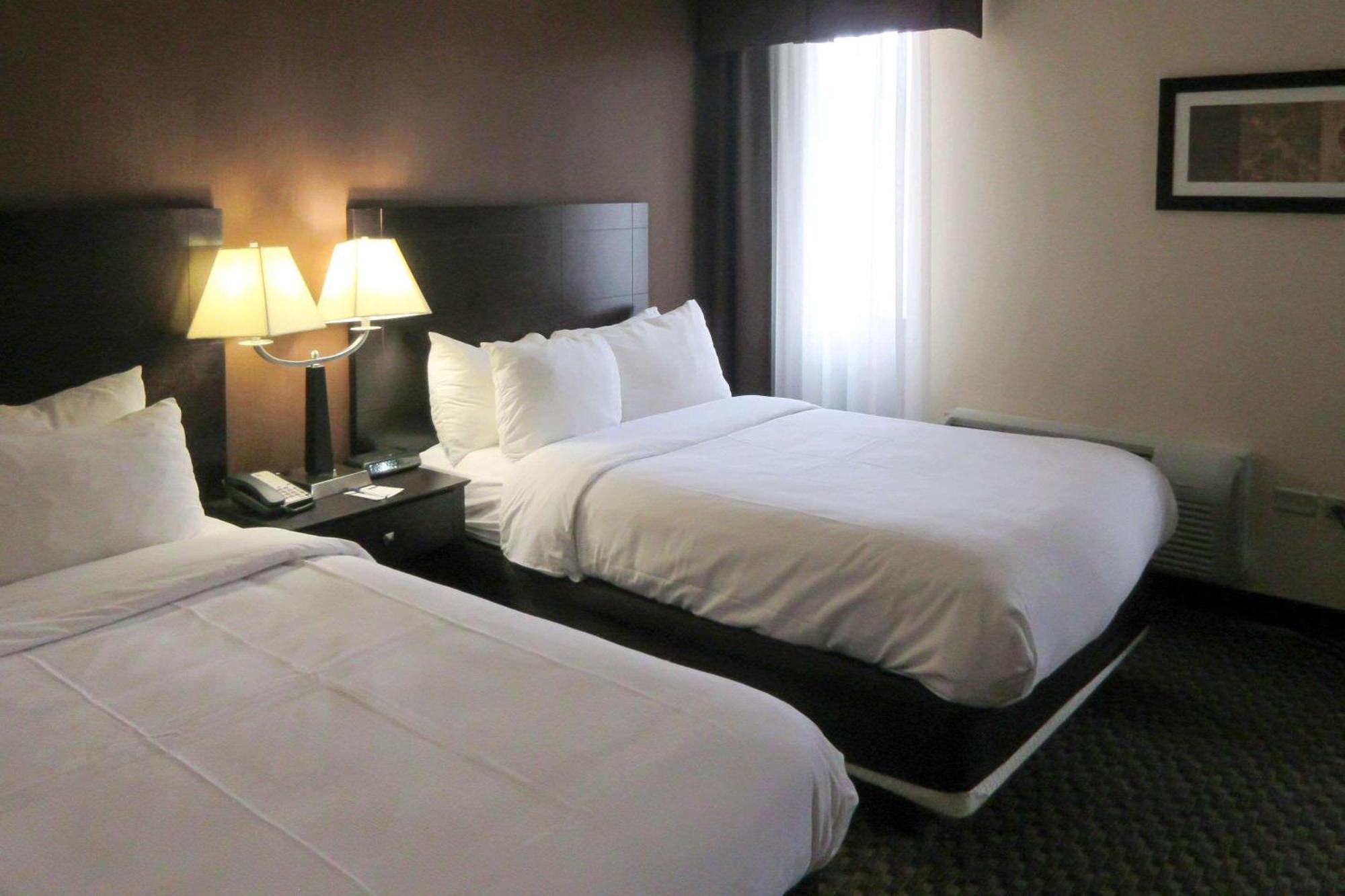Comfort Inn & Suites Montrose Hill Bagian luar foto